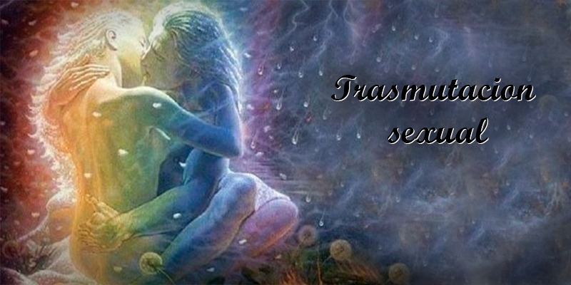 transmutacion Sexual imagen